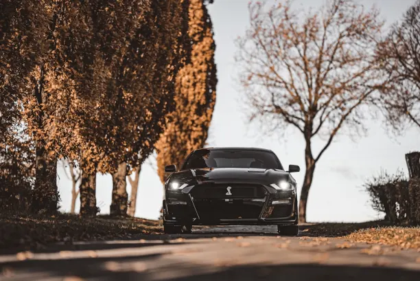 كازينو ليون وينز تطبيق أندرويد/آي أو إس